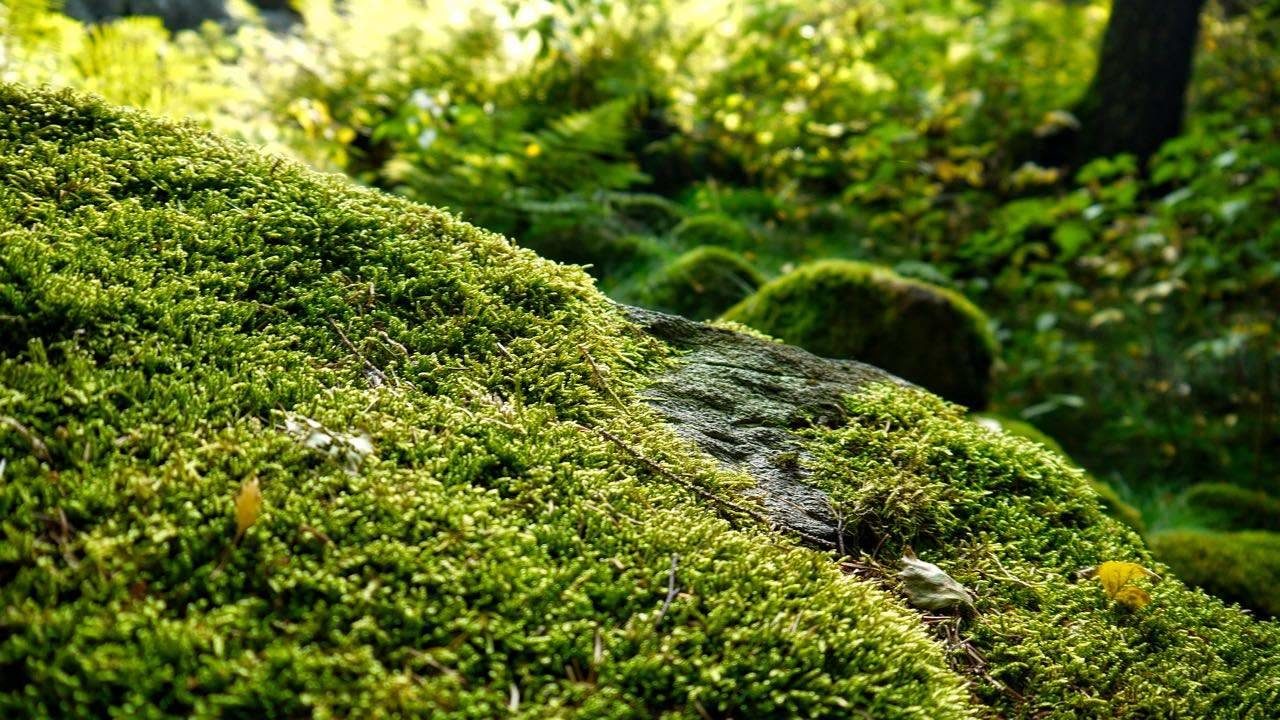 P1060774_HDR_edit