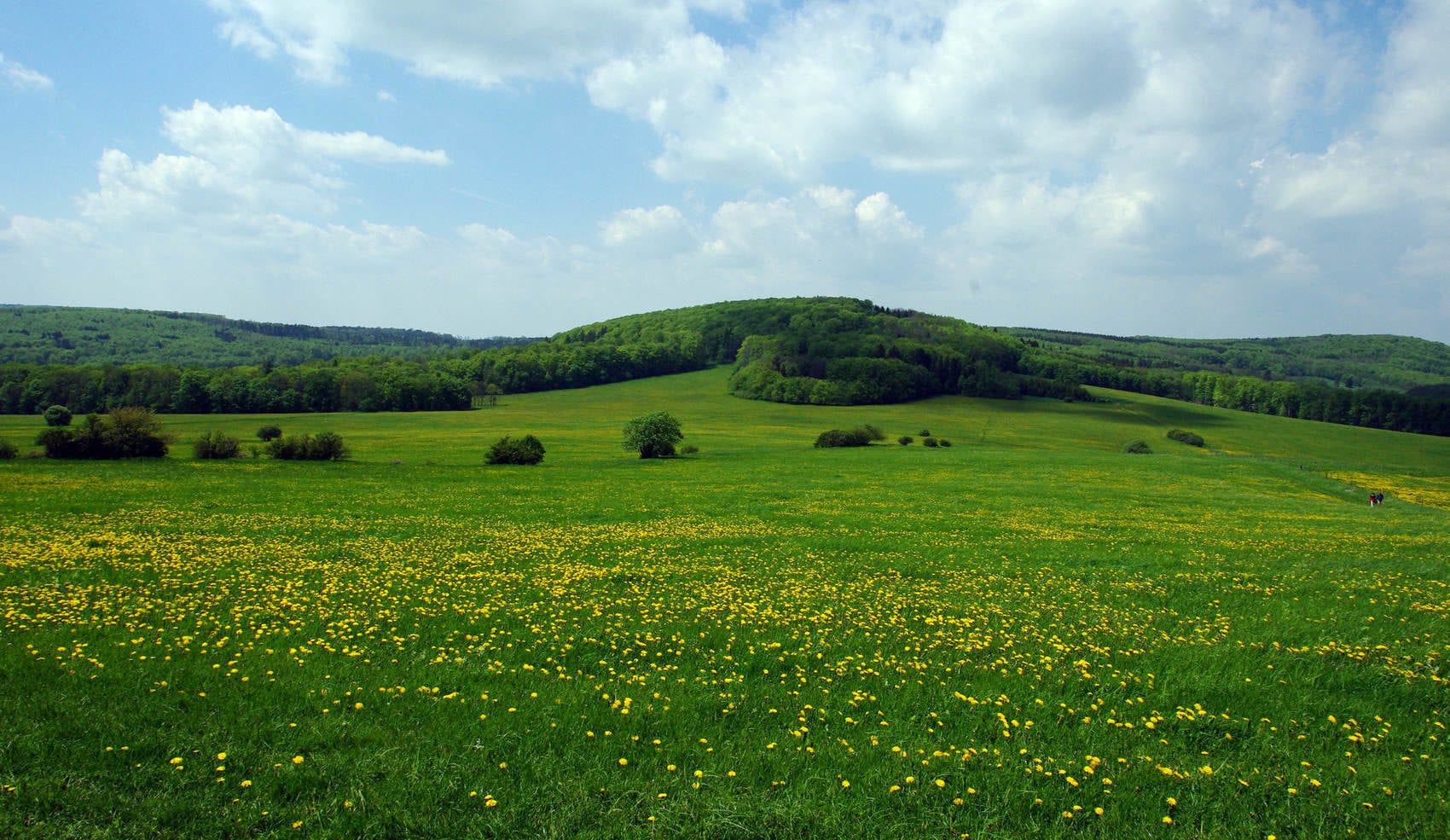 Thueringische-Rhoen-Fruehling