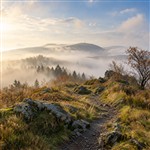 Nebeltour Rhön